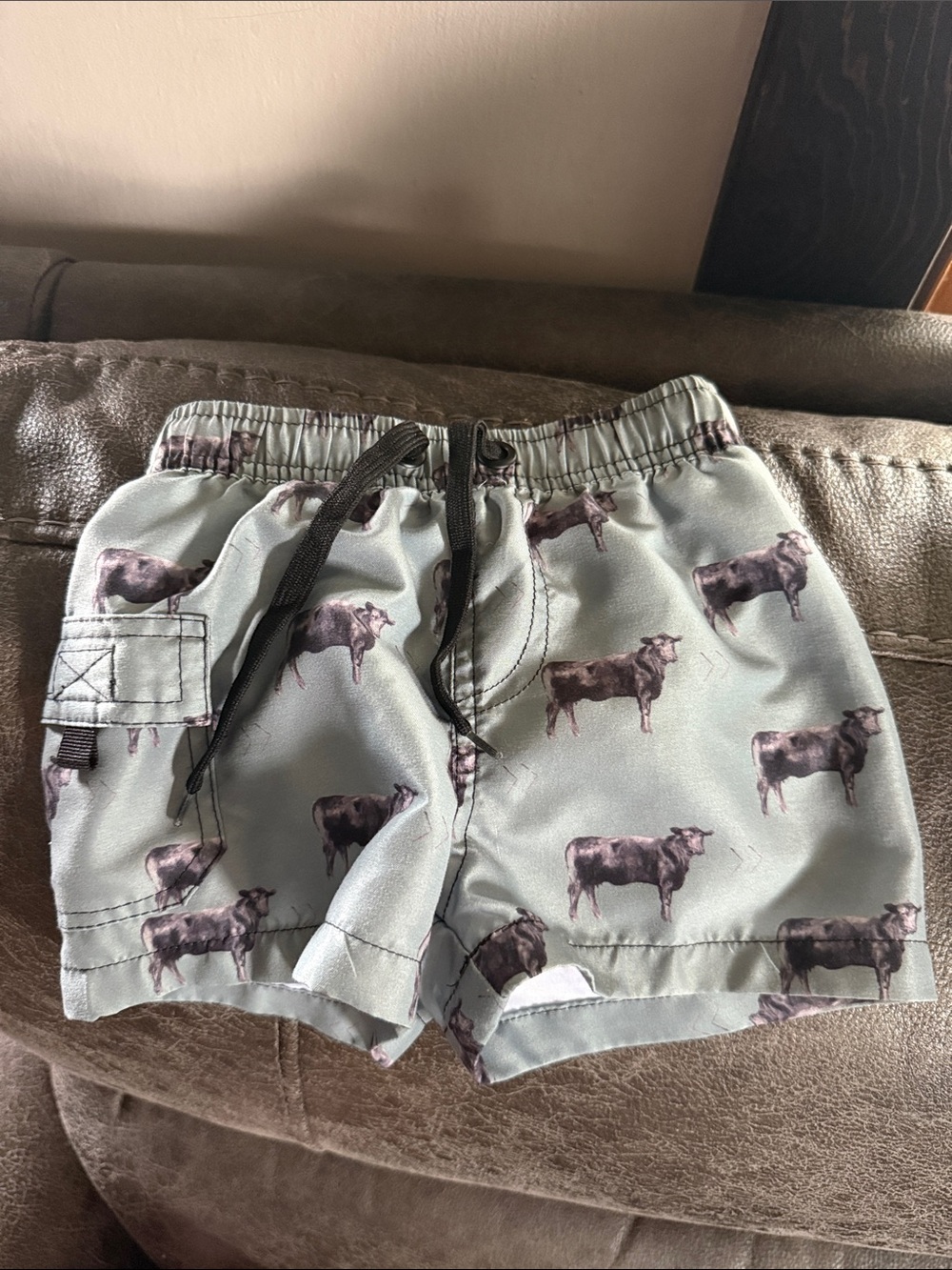 Cowkid Clothing Co. Baby Swim Shorts in Light Sage with Black Angus Print